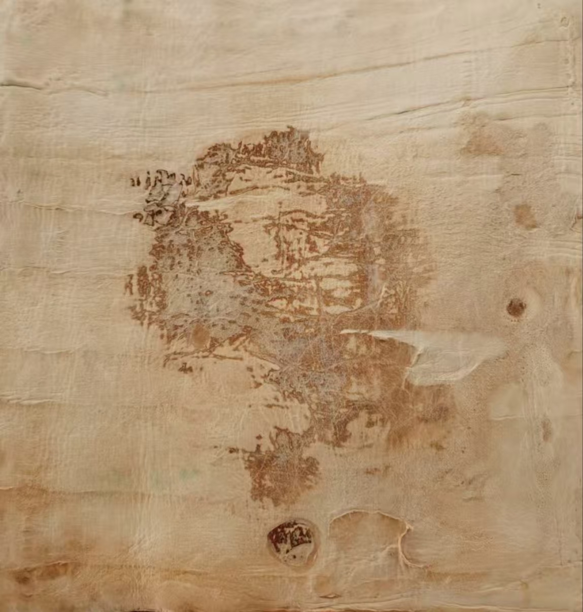 一种工艺简单,生成周期短,绿色环保的生物基皮革