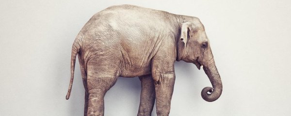 这个设计了不起