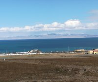 何谓文字或者图案的商标性