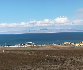 何谓文字或者图案的商标性