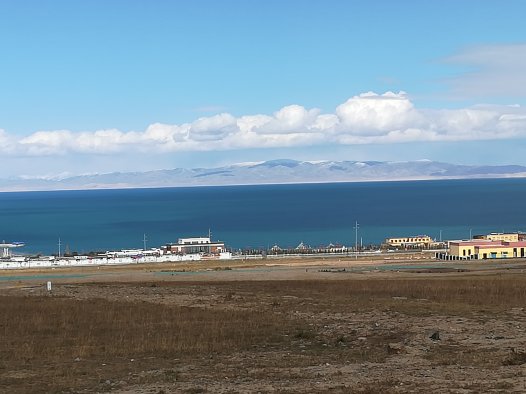 何谓文字或者图案的商标性