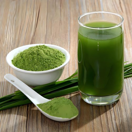 “生物粉体工程”示范项目