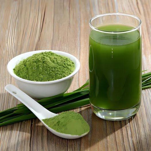 “生物粉体工程”示范项目