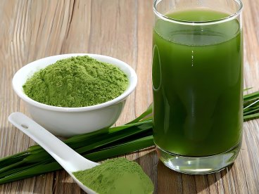 “生物粉体工程”示范项目