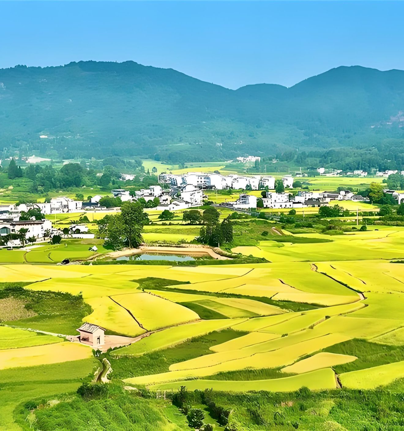 是站在未来看当下还是站在现在看未来