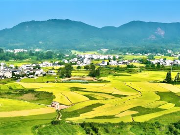 是站在未来看当下还是站在现在看未来